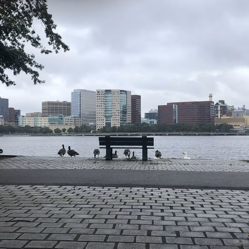 Boston