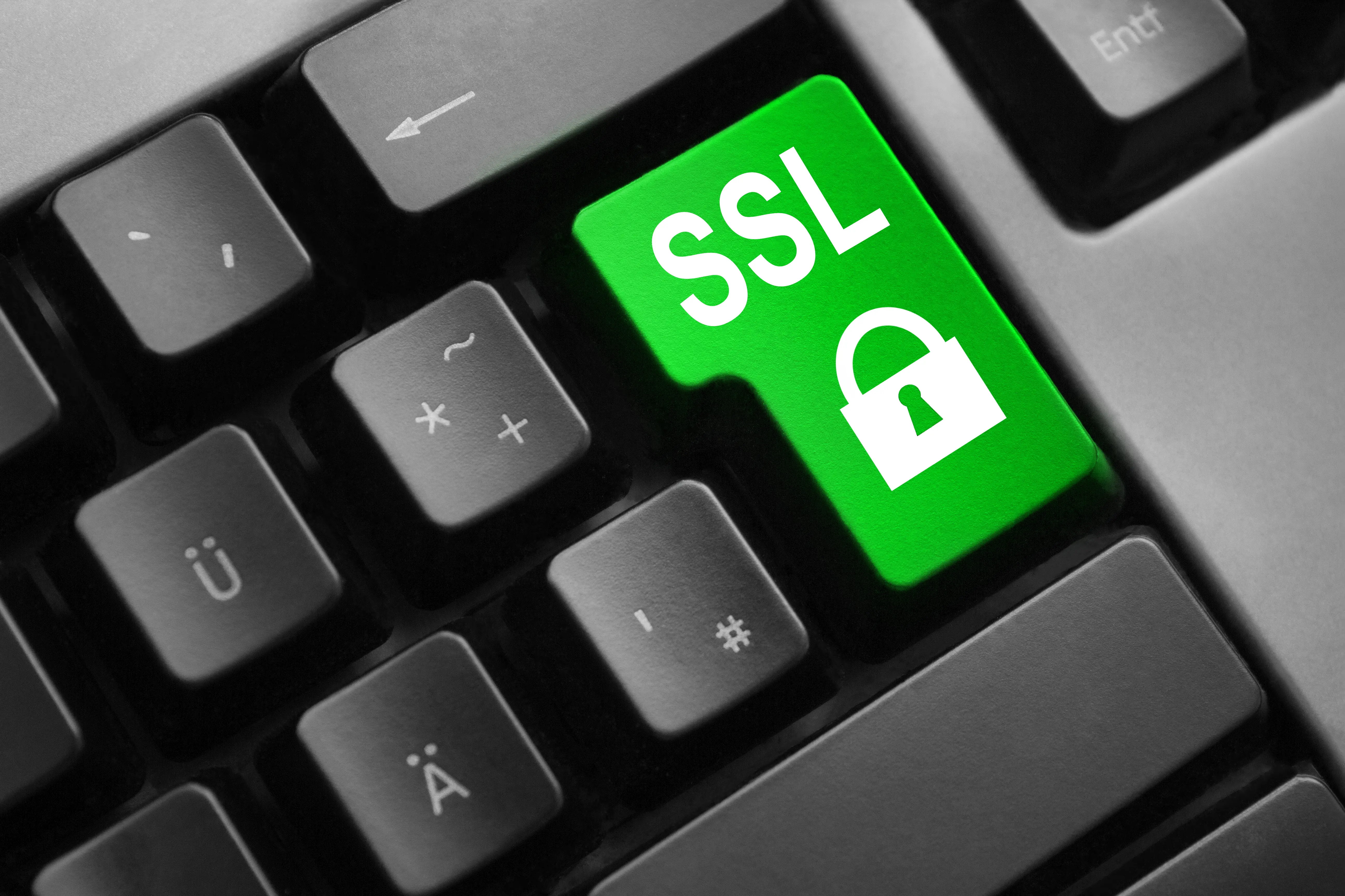 Domain SSL Management Services