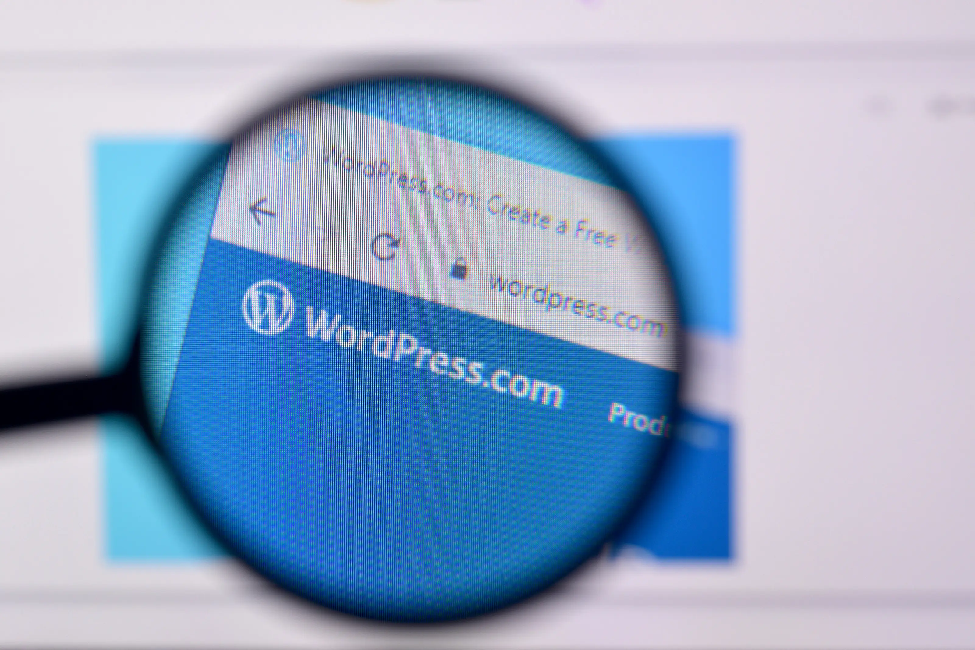 WordPress Malware Removal Services